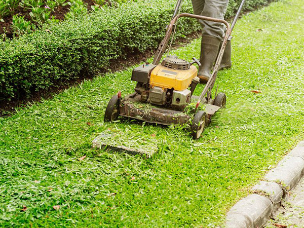 ������þG�����̺��ڵ��B(y��ng)�o(h��)����