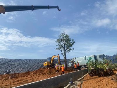 �V�ݾG�����̸���