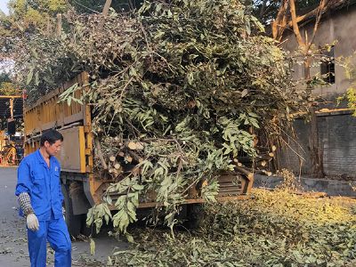 �V�ݾG������̎��