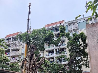 �|ɽ���@��ľ�޼��(xi��ng)Ŀ