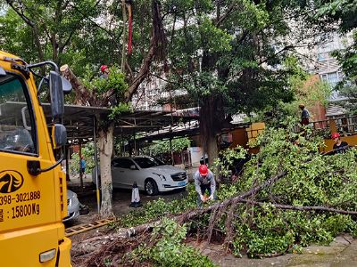 �Ї�(gu��)�Ƅ�(d��ng)��ɽ��˾�@�־G���޼��(xi��ng)Ŀ